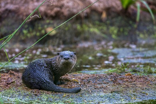 Tour image 8