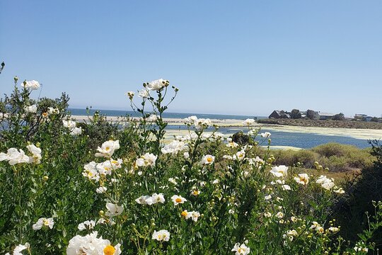 Tour image 12