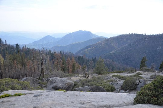 Tour image 4