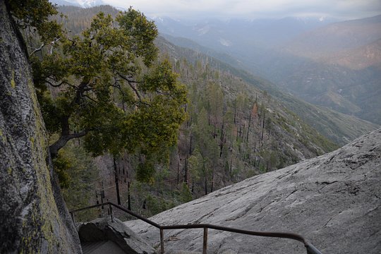 Tour image 7